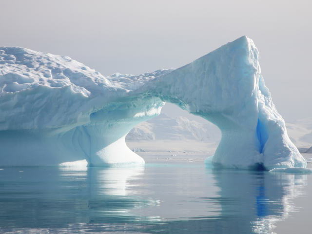 �C���[�W�ʐ^1